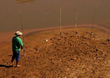Piracema começa em Minas e restrições à pesca entram em vigor neste sábado (1/11)