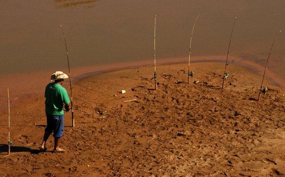 Piracema começa em Minas e restrições à pesca entram em vigor neste sábado (1/11)