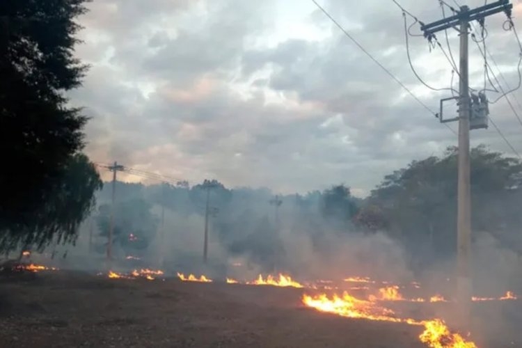 Queimadas deixam 11 mil sem energia 