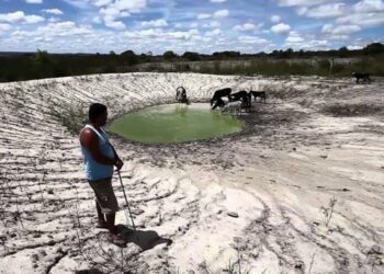 Agro sofre prejuízos de R$ 875 mi 