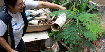 Governo de Minas mobiliza todo o estado para Dia D de combate ao Aedes aegypti