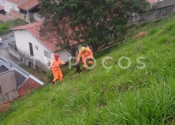 Bombeiros resgatam cães que caíram em barranco no Jardim Vitória, em Poços