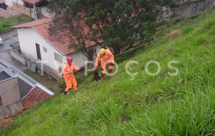 Bombeiros resgatam cães que caíram em barranco no Jardim Vitória, em Poços