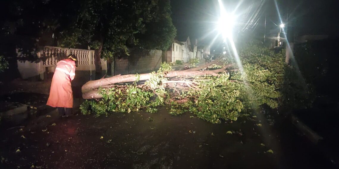 Tempestade causa destruição e mobiliza equipes de emergência em Guaxupé