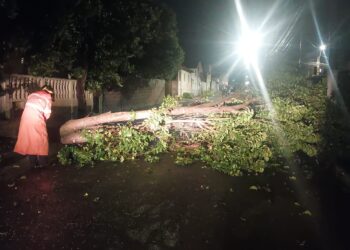 Tempestade causa destruição e mobiliza equipes de emergência em Guaxupé