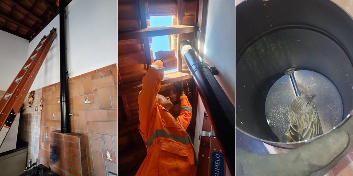 Bombeiros resgatam pardal preso em duto de chaminé em Poços de Caldas