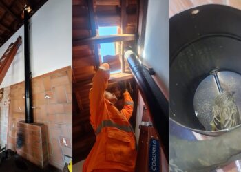 Bombeiros resgatam pardal preso em duto de chaminé em Poços de Caldas