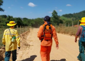 Turista é encontrada após 26 horas desaparecida em área de mata no Sul de Minas
