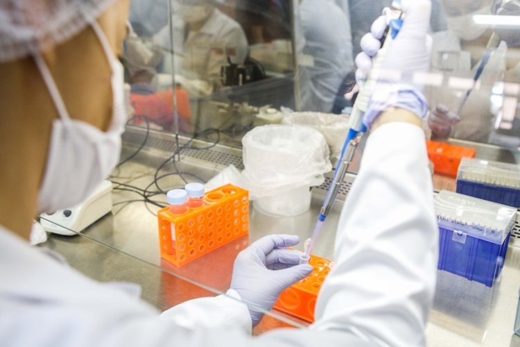 Mais de 4 mil casos de dengue em JF