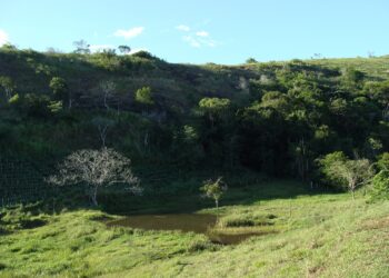 Poços abre edital para empresas parceiras em projeto de recuperação de nascentes