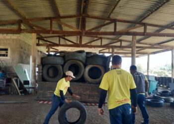Mais de 200 pneus são recolhidos durante Dia D contra o Aedes em Poços