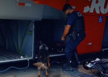 GCM realiza operação com cão farejador na Rodoviária de Poços