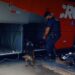 GCM realiza operação com cão farejador na Rodoviária de Poços