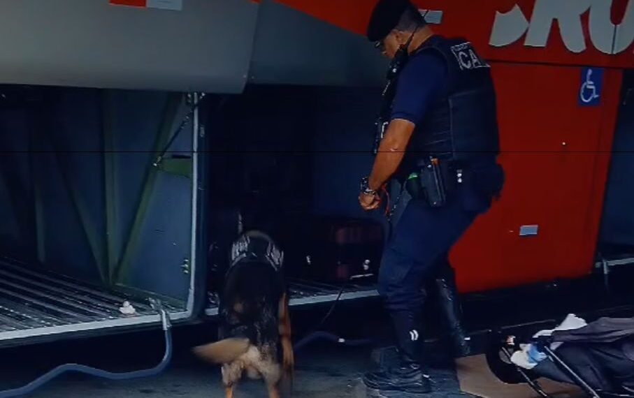 GCM realiza operação com cão farejador na Rodoviária de Poços