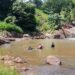 Tio e sobrinho morrem afogados em cachoeira no Sul de Minas