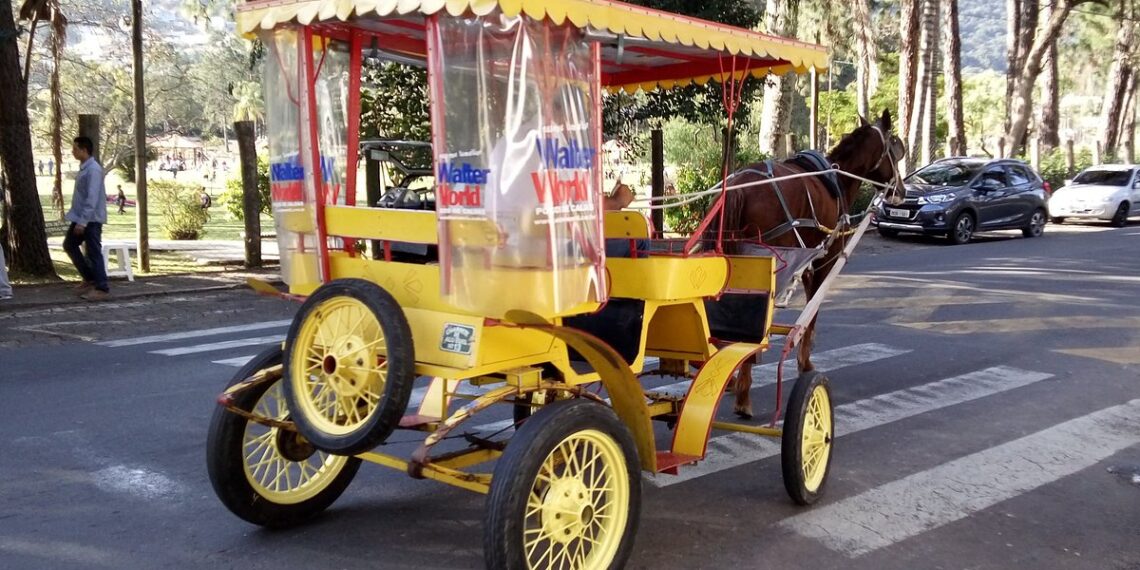 Sancionada lei que cria serviço de carruagem elétrica e extingue charretes em Poços