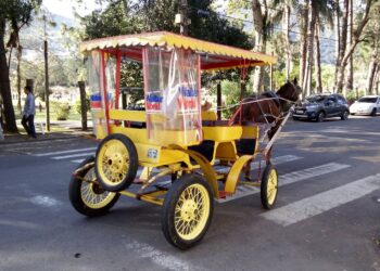Sancionada lei que cria serviço de carruagem elétrica e extingue charretes em Poços
