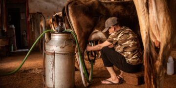 Setor leiteiro conquista avanço em processo antidumping