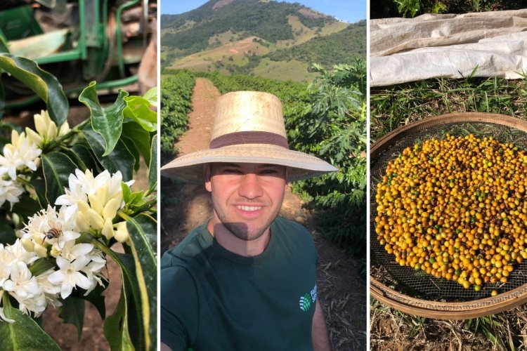 Sítio Cascalho: histórias de superação na cafeicultura 