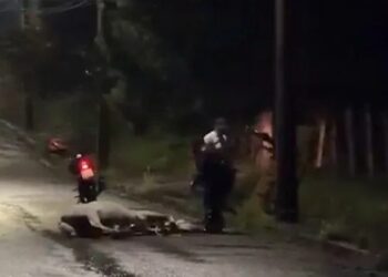 Charrete tomba após cavalo se soltar em avenida de Poços de Caldas