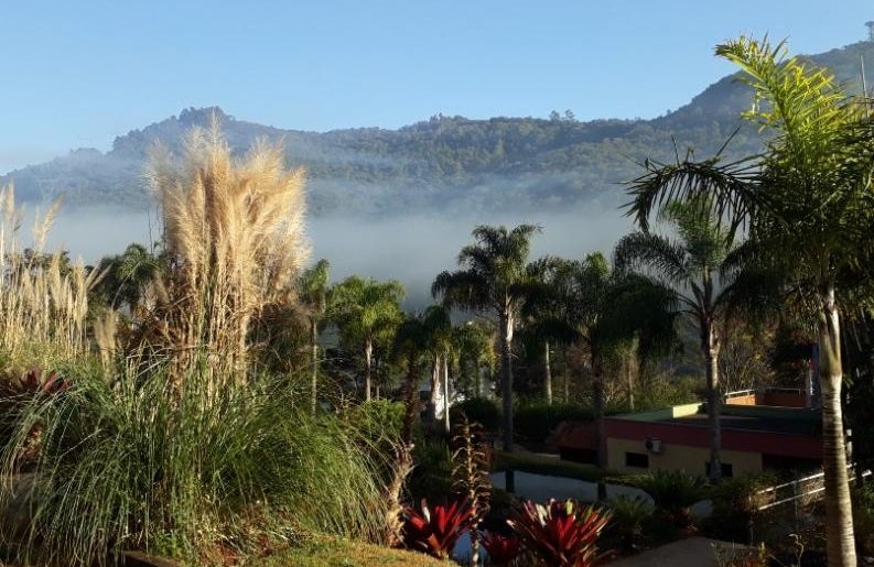 Jardim Botânico de Poços amplia acesso e recebe cerca de 200 visitantes no fim de semana