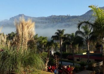 Jardim Botânico de Poços começa a abrir nos finais de semana
