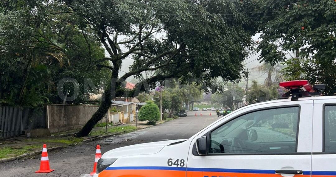 Árvore cai sobre fiação e mobiliza equipes em Poços de Caldas