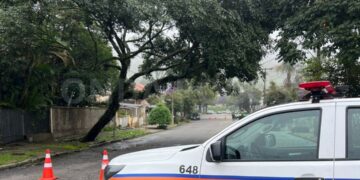 Árvore cai sobre fiação e mobiliza equipes em Poços de Caldas