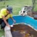 LIRAa aponta que Poços está com médio risco para epidemia de dengue e outras arboviroses