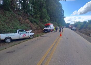 Homem de 30 anos morre após batida entre carro e caminhão na MGC-267, em Machado