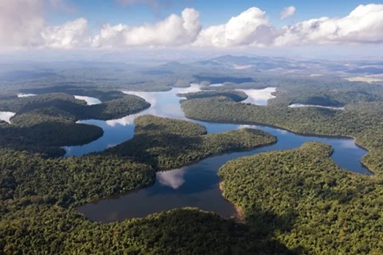 Parque recebe 50 mil visitantes 