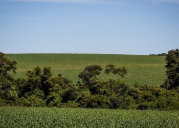 Funrural, qual a melhor opção? 