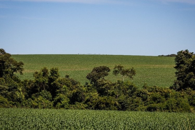 Funrural, qual a melhor opção? 