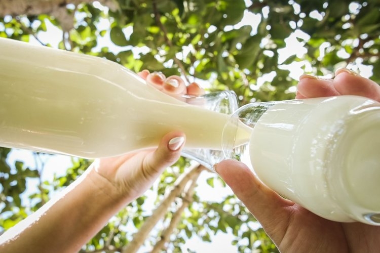 Faemg mantém mobilização frente à crise do leite