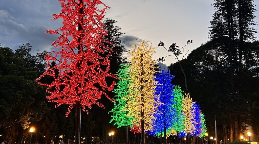 Saiba até que dia será possível visitar a decoração de Natal em Poços de Caldas