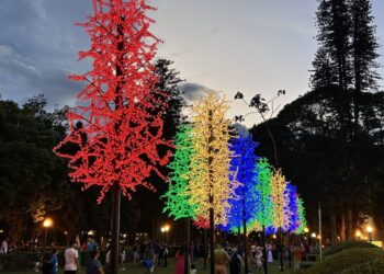 Saiba até que dia será possível visitar a decoração de Natal em Poços de Caldas