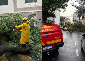 Chuva com ventos fortes provoca queda de árvores e postes em cidade do Sul de Minas