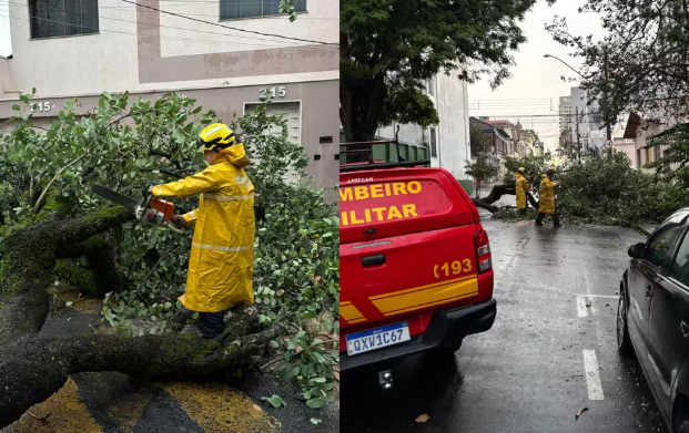 Chuva com ventos fortes provoca queda de árvores e postes em cidade do Sul de Minas