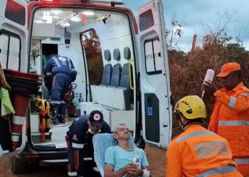 Homem leva mais de cem picadas em ataque de abelhas em zona rural na região
