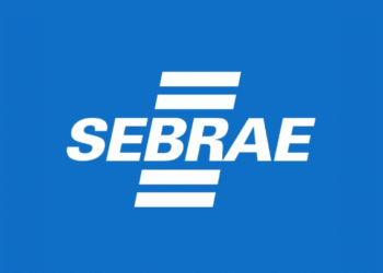 Minuto Sebrae: MEI já pode entregar Declaração Anual de Faturamento