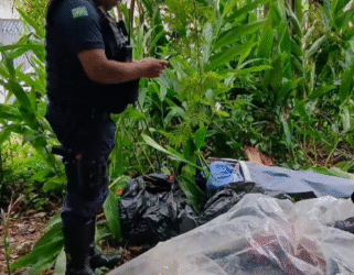 Homem dormindo dentro de saco em área de mata é confundido com corpo e mobiliza a GCM em Poços