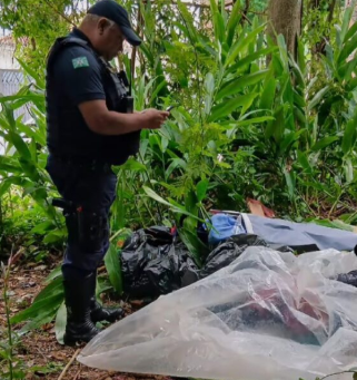 Homem dormindo dentro de saco em área de mata é confundido com corpo e mobiliza a GCM em Poços