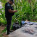 Homem dormindo dentro de saco em área de mata é confundido com corpo e mobiliza a GCM em Poços