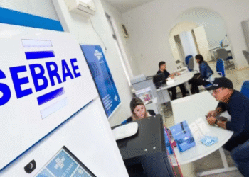 Sebrae Minas Gerais abre inscrições para o programa ALI Produtividade