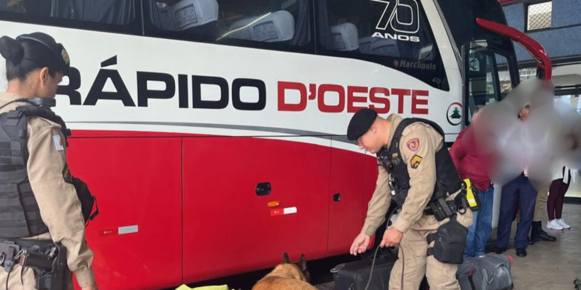 Operação “Pré-Carnaval Seguro” mira drogas, armas e foragidos em Poços