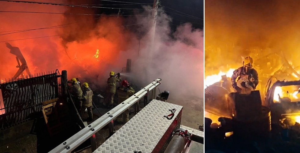 VÍDEO: Em ato heroico, bombeiros entram em depósito tomado pelas chamas e salvam cadela