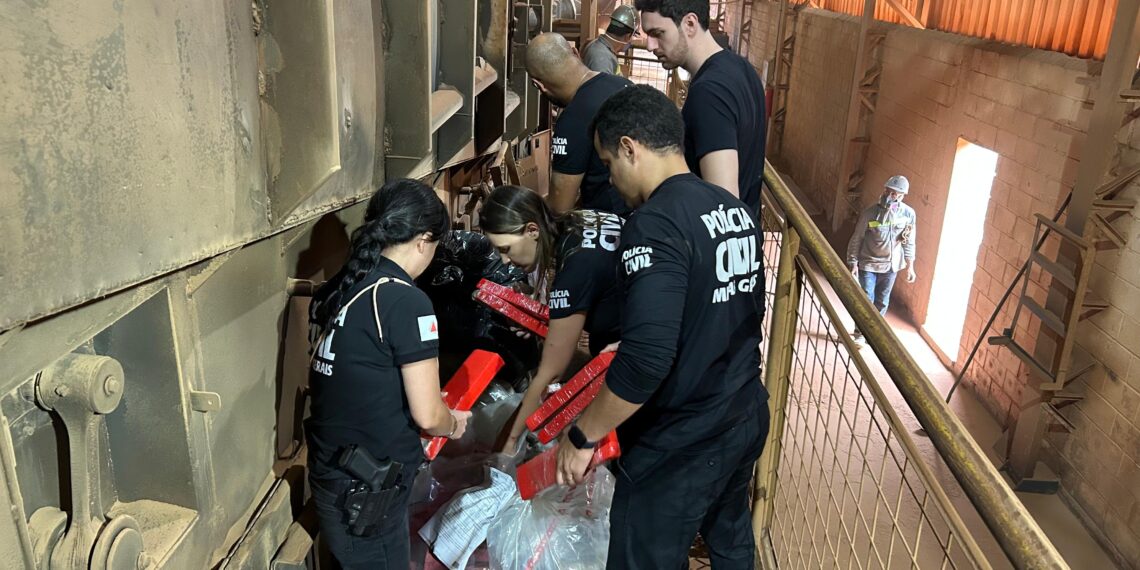 VÍDEO: Polícia Civil incinera mais de 220 quilos de drogas em Poços de Caldas