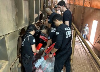 VÍDEO: Polícia Civil incinera mais de 220 quilos de drogas em Poços de Caldas