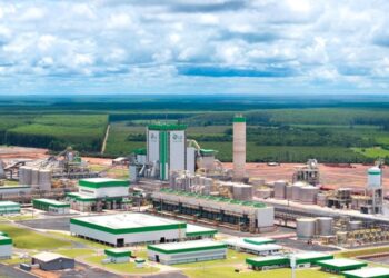Fábrica impulsiona produção de celulose 