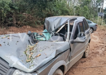 Idoso fica ferido após carro ser atingido por eucalipto na Estrada do Campestrinho, em Poços